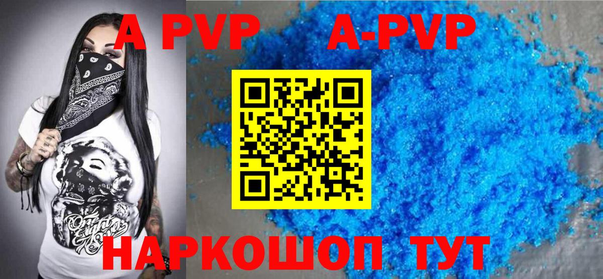 Alfa_PVP СК Великий Новгород