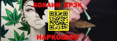 спайс Кингисепп