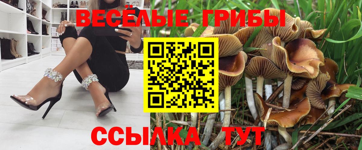 Великий Новгород  продажа наркотиков  Вход с VPN  Псилоцибиновые грибы GOLDEN TEACHER 